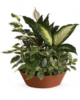 Standard size, 15 inches height and 14 and a half inches wide.