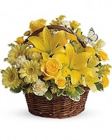 Deluxe size, 12 inches height and 12 and a half inches wide.