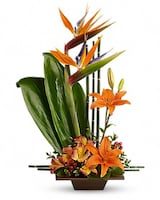 Standard size, 24 and a half inches height and 16 and a half inches wide.