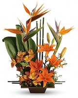 Premium size, 25 inches height and 19 and a half inches wide.