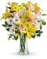 Premium size, 19 inches height and 17 and a half inches wide.