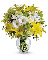 Deluxe size, 16 and a half inches height and 15 and a half inches wide.