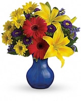 Standard size, 14 and a half inches height and 13 inches wide.