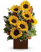 Deluxe size, 20 and a half inches height and 14 and a half inches wide.