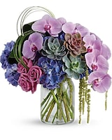 Deluxe size, 17 and a half inches height and 16 and a half inches wide.