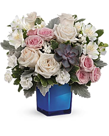 Deluxe size, 13 1/4 inches height and 14 inches wide.