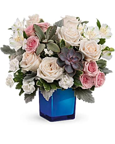 Premium size, 13 1/4 inches height and 14 and a half inches wide.