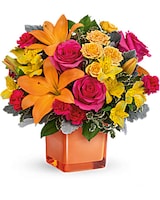 Standard size, 12 3/4 inches height and 13 3/4 inches wide.