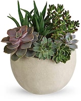Standard size, 11 3/4 inches height and 9 and a half inches wide.