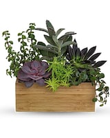 Standard size, 9 inches height and 10 and a half inches wide.