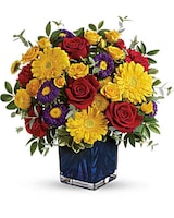 Premium size, 14 inches height and 14 and a half inches wide.