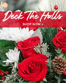 Send Christmas Flowers