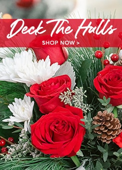 Send Christmas Flowers