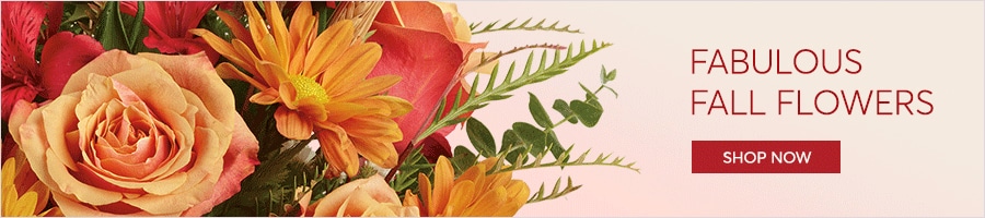 Delivery Fall Flowers