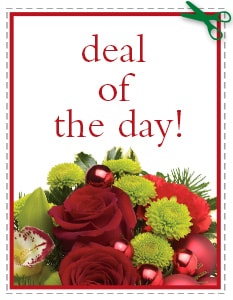 Send eal of the Day - Biggest Freshest Arrangement