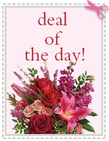 Send eal of the Day - Biggest Freshest Arrangement