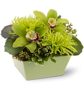 Go Green in Hartley IA, Jackie's Floral Center