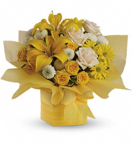 Teleflora's Sunshine Surprise Present in Hartley IA, Jackie's Floral Center