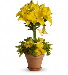 Yellow Fellow in Hartley IA, Jackie's Floral Center