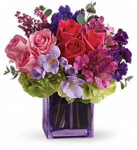 Exquisite Beauty by Teleflora in Hartley IA, Jackie's Floral Center