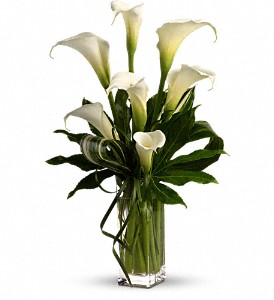 My Fair Lady by Teleflora in Hartley IA, Jackie's Floral Center