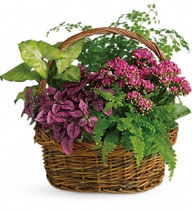 Secret Garden Basket in Hartley IA, Jackie's Floral Center