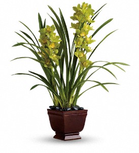 Teleflora's Splendid Orchids in Hartley IA, Jackie's Floral Center