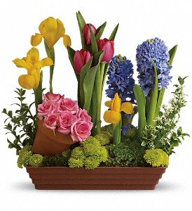 Spring Favorites in Hartley IA, Jackie's Floral Center