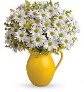 Teleflora's Sunny Day Pitcher of Daisies in Hartley IA, Jackie's Floral Center