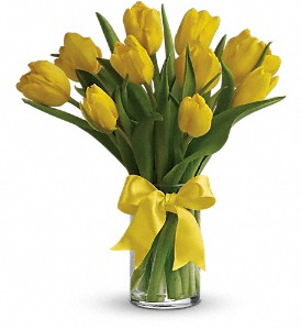 Sunny Yellow Tulips in Hartley IA, Jackie's Floral Center