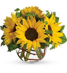 Sunny Sunflowers in Hartley IA, Jackie's Floral Center