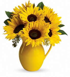 Teleflora's Sunny Day Pitcher of Sunflowers in Hartley IA, Jackie's Floral Center