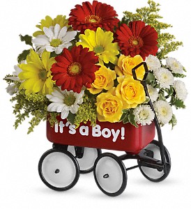 Baby's Wow Wagon by Teleflora - Boy in Hartley IA, Jackie's Floral Center