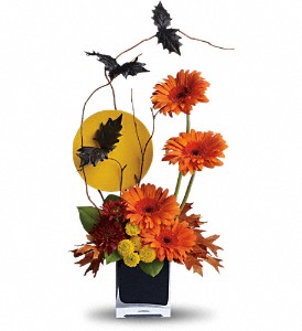Teleflora's Boo-tiful Bats in Hartley IA, Jackie's Floral Center