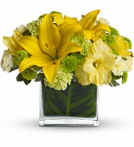 Oh Happy Day by Teleflora in Hartley IA, Jackie's Floral Center