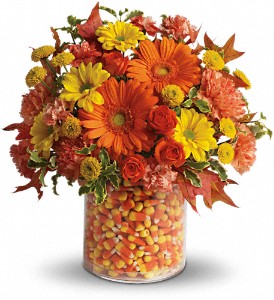 Teleflora's Candy Cornie in Hartley IA, Jackie's Floral Center