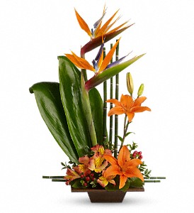 Teleflora's Exotic Grace in Hartley IA, Jackie's Floral Center