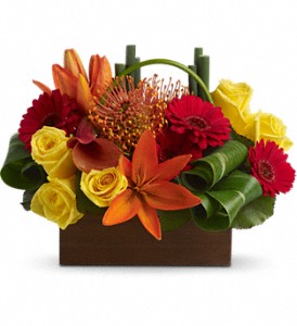 Teleflora's Bamboo Getaway in Hartley IA, Jackie's Floral Center
