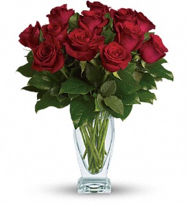 Teleflora's Rose Classique - Dozen Red Roses in Hartley IA, Jackie's Floral Center