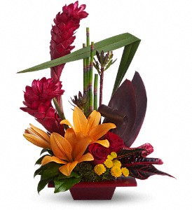 Teleflora's Tropical Bliss in Hartley IA, Jackie's Floral Center
