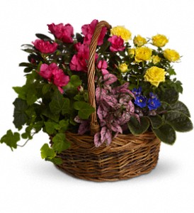 Blooming Garden Basket in Hartley IA, Jackie's Floral Center