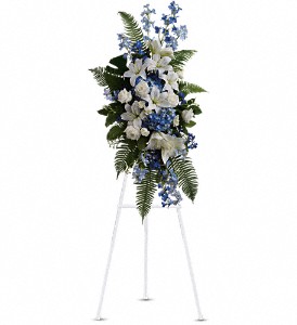 Ocean Breeze Spray in Hartley IA, Jackie's Floral Center
