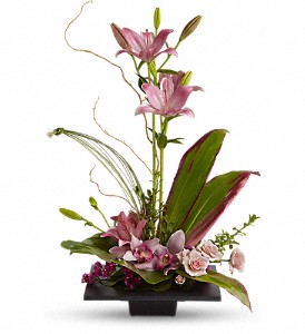 Imagination Blooms with Cymbidium Orchids in Hartley IA, Jackie's Floral Center