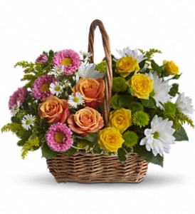 Sweet Tranquility Basket in Hartley IA, Jackie's Floral Center