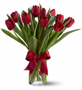 Radiantly Red Tulips in Hartley IA, Jackie's Floral Center