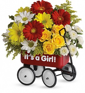 Baby's Wow Wagon by Teleflora - Girl in Hartley IA, Jackie's Floral Center