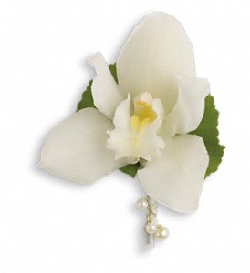Shimmering Pearls Boutonniere in Hartley IA, Jackie's Floral Center