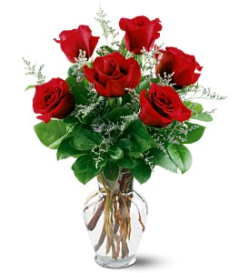 6 Red Roses in Hartley IA, Jackie's Floral Center