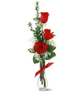 3 Red Roses in Hartley IA, Jackie's Floral Center
