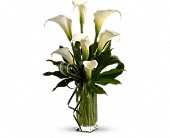 My Fair Lady by Teleflora in Hartley IA, Jackie's Floral Center